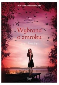 Wodospady Cienia 5. Wybrana o zmroku