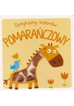Dotykamy kolorów. Pomarańczowy