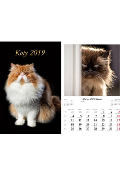 Kalendarz 2019 wieloplanszowy Koty dwustronny