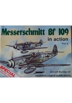 Messerchmitt Bf 109 in action