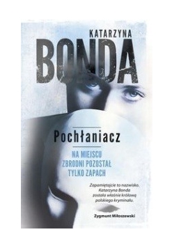 Pochłaniacz