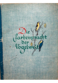 Die farbenpracht der Vogelwelt