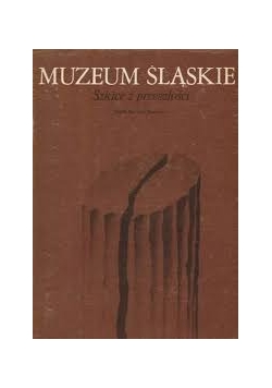 Muzeum Śląskie szkice z  przeszłości