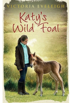 Katy's Wild Foal