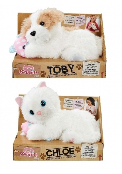 Scruffies Chloe / Toby i przyjaciel
