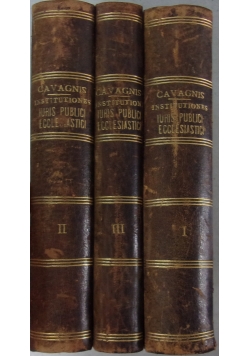 Institutionses iuris publici ecclesiastici, 1906r.