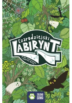 Czarodziejski labirynt