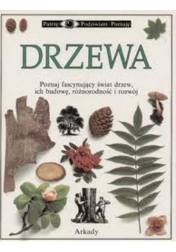 Patrzę podziwiam poznaję. Drzewa