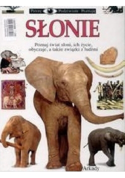 Słonie