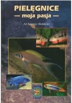 Pielęgnice moja pasja