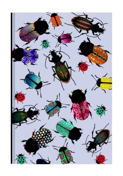 Notes Narcissus Gee Bugs
