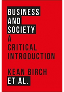 Business and society a critical introduction