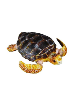 Żółw Karetta
