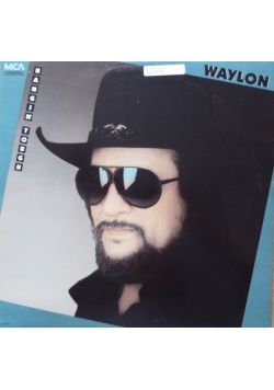 Waylon, Płyta winylowa