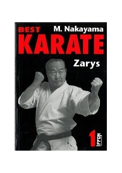 Best Karate 1 zarys