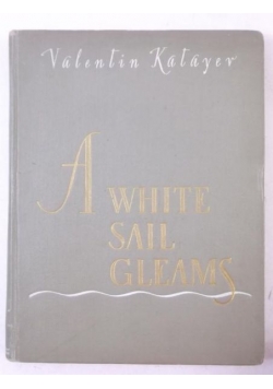 A White Sail Gleams