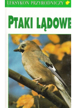 Ptaki Lądowe
