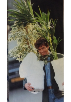 Potplanten pot plants topfpflanzen plantes en pot piante da vaso planeta en particular 1991/92
