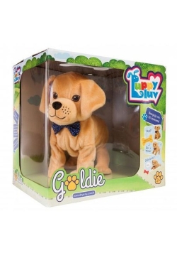 Goldie Piesek interaktywny