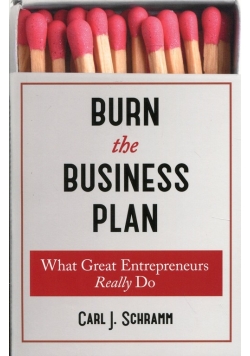 Burn The Business Plan