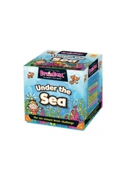 BrainBox Under Sea wersja angielska ALBI