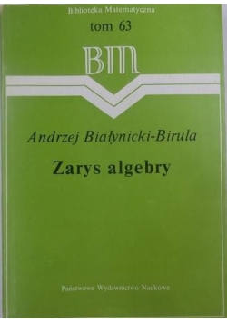 Zarys algebry