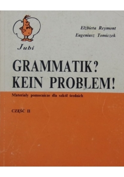 Grammatik Kein Problem Cz  II