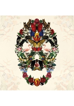 Karnet kwadrat z kopertą Skull of Life
