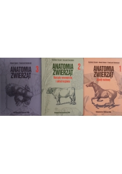 Anatomia zwierząt 3 tomy