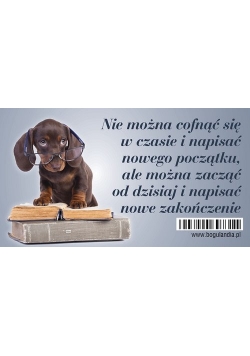 Magnes 7 na lodówkę Nie można cofnąć się w czasie