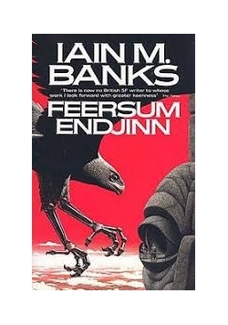 Feersum endjinn