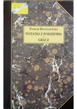 Notatki z podziemia, Gracz