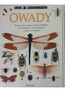 Owady