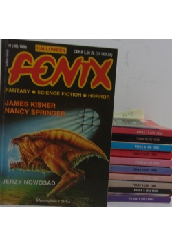 Fenix magazyn literacki. Zestaw 11 książek
