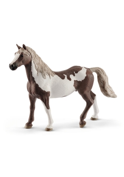 Paint Gelding Koń