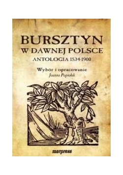 Bursztyn w dawnej Polsce. Antologia 1534-1900