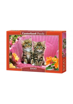 Puzzle 1000 Kittens on Garden Chair CASTOR
