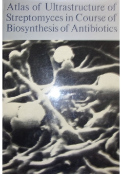 Atlas of Ultrastructure of Streptomyces in Course of Biosynthesis of Antibiotics