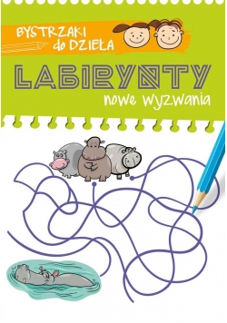 Bystrzaki do dzieła. Labirynty. Nowe wyzwania