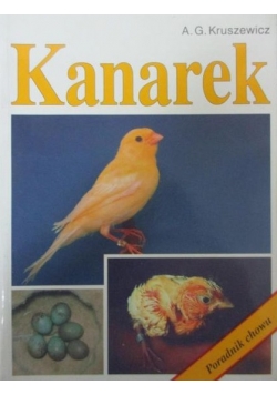 Kanarek