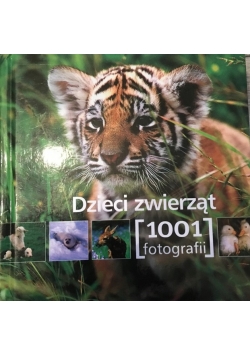 Dzieci zwierząt  1001 fotografii