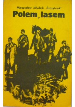 Polem Lasem