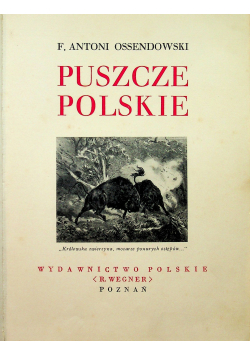 Puszcze Polskie ok 1934