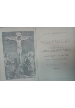 Droga krzyżowa, 1913 r.