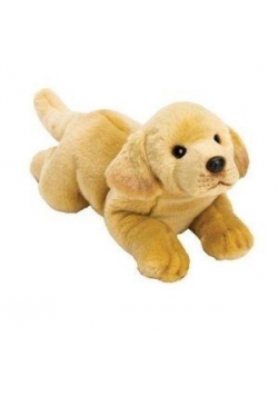 Piesek żółty Labrador 35cm SUKI