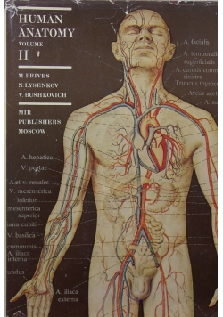 Human Anathomy volume II