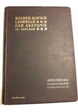 Anatomie des Menschen / Abteilung 6, 1905r.
