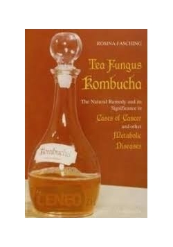 Tea fungus kombucha
