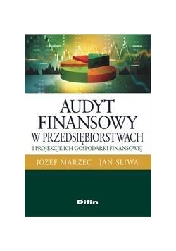 Audyt finansowy w przedsiębiorstwach...