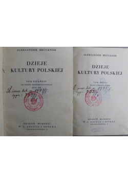 Dzieje kultury polskiej  1931 r. 2 tomy
